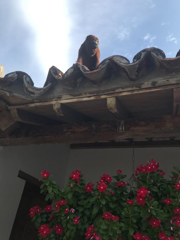 Bed and Breakfast La Casa Amarilla Mompos Exterior foto